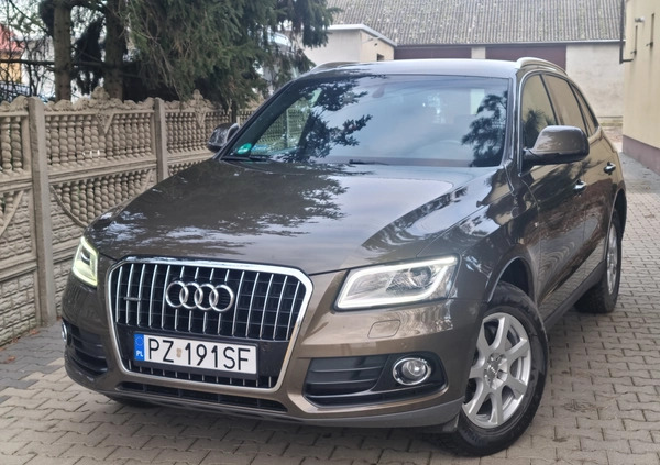 Audi Q5 cena 85900 przebieg: 120000, rok produkcji 2015 z Kostrzyn małe 326